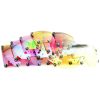 Pilla Lens Club